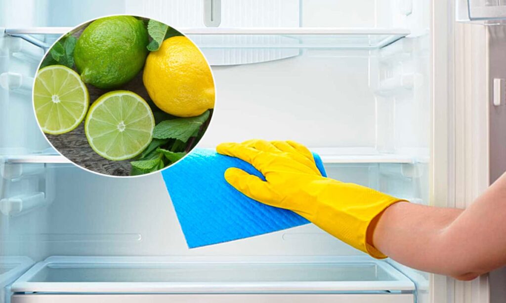 vệ sinh tủ lạnh lâu không dùng bằng chanh