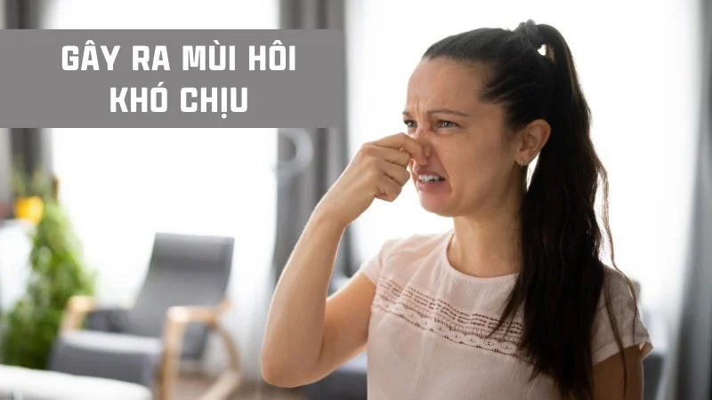 hại của máy lọc không khí