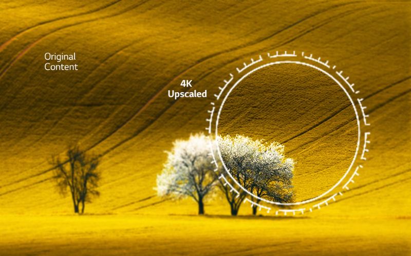 so sánh tivi qled và 4k