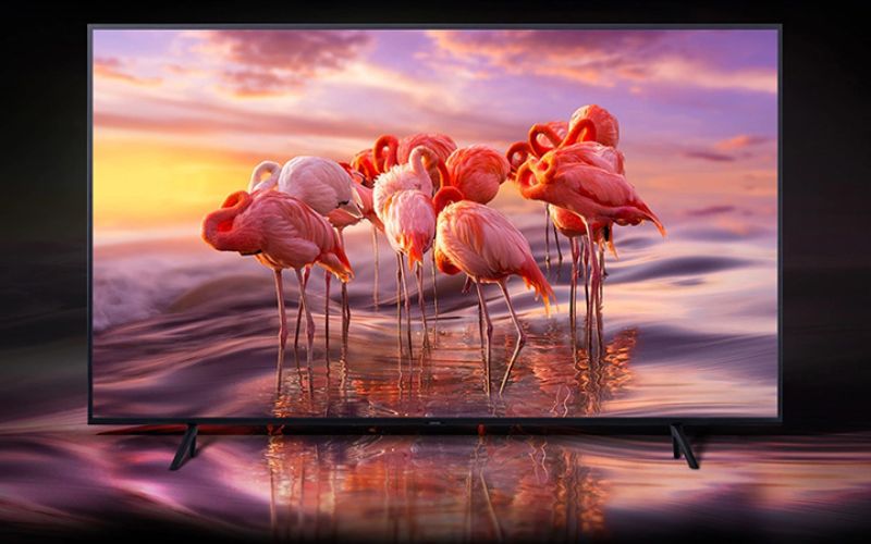 so sánh tivi qled và 4k