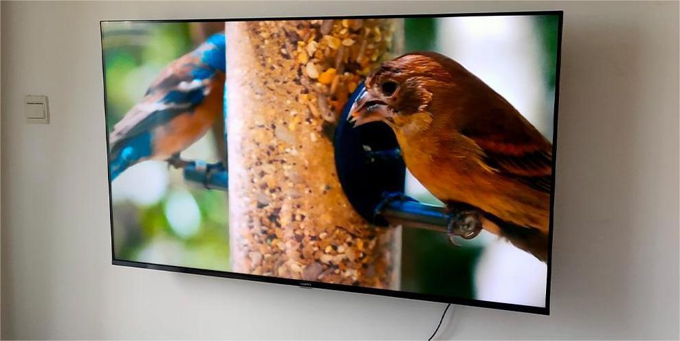 Tivi-xiaomi-A65-inch-2026