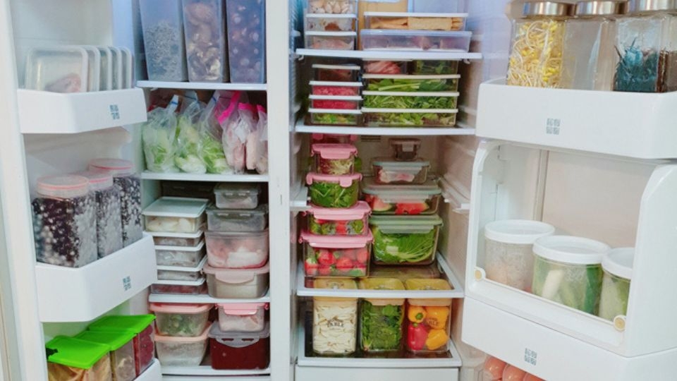 Nguyên nhân tủ lạnh lâu không dùng có mùi