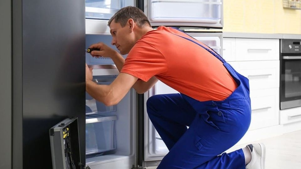 Nguyên nhân tủ lạnh lâu không dùng có mùi