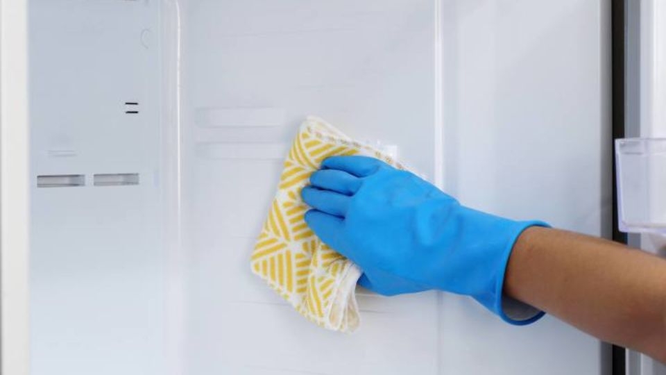 Nguyên nhân tủ lạnh lâu không dùng có mùi