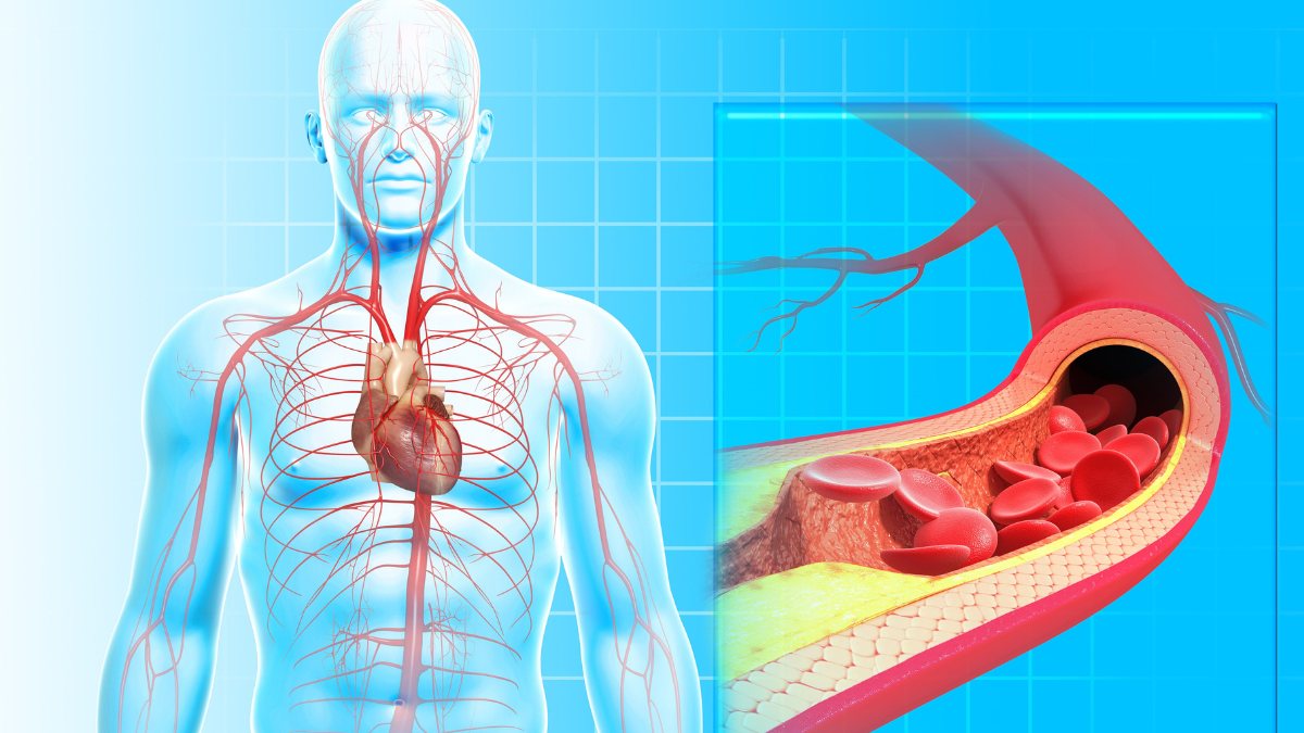 Hướng dẫn cách sử dụng máy massage mini hiệu quả