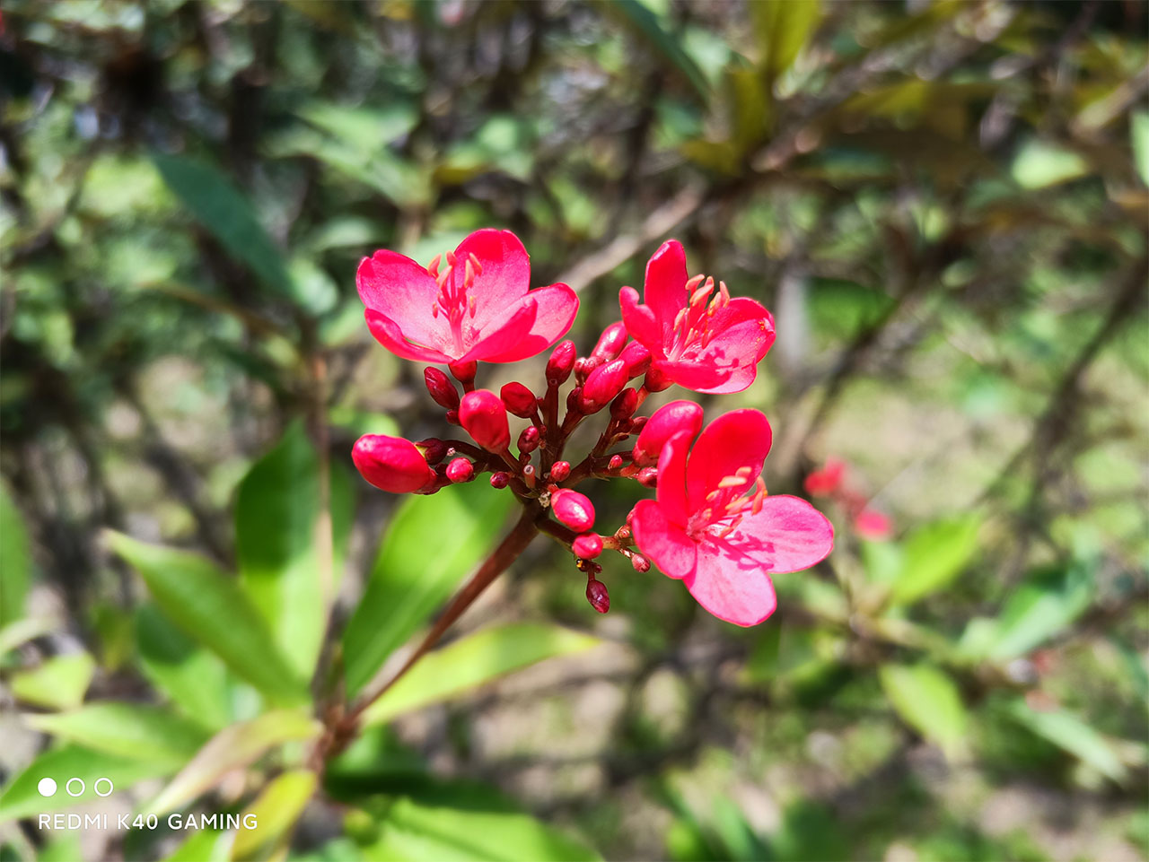 xiaomi redmi k40 gaming