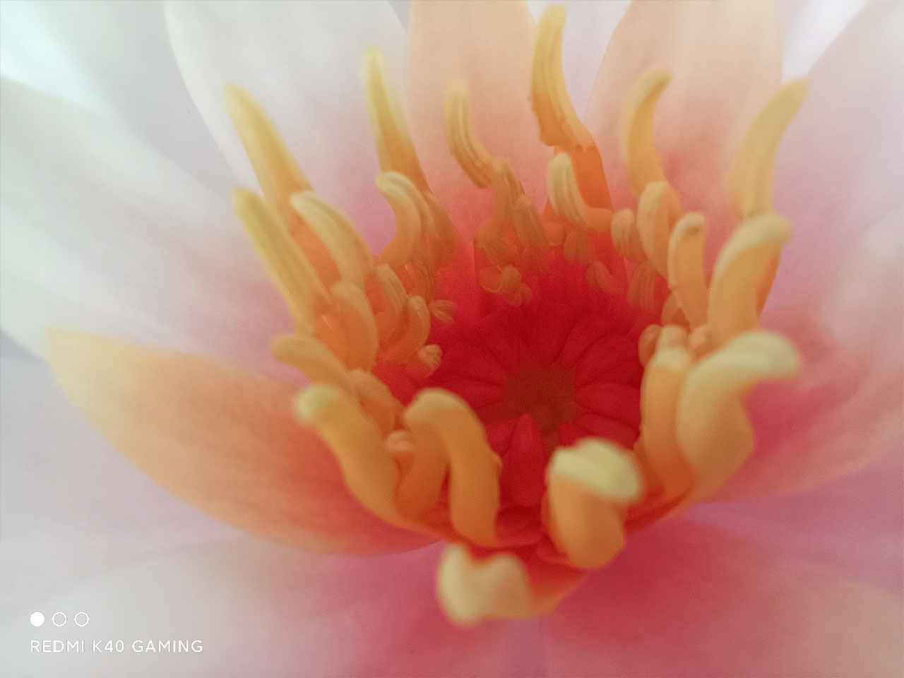 xiaomi redmi k40 gaming